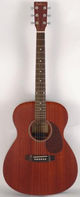 Ashbury Guitars GR5212